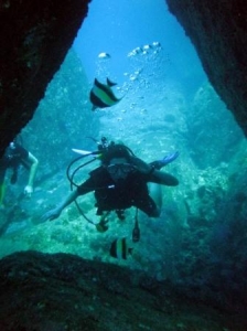 Elephant Head Rock