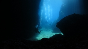 Monk Seal Cave