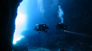 Monk Seal Cave