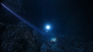 Monk Seal Cave