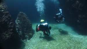 Monk Seal Cave