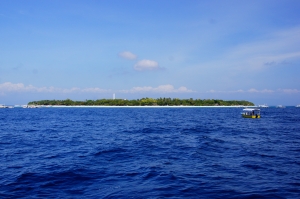 Balicasag Island