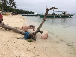 Balicasag Island