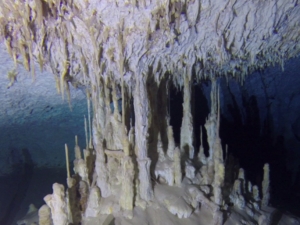 Cenote Mayan Blue