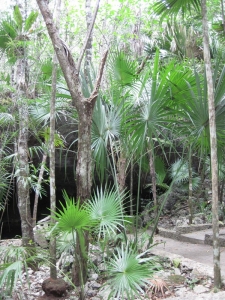 Cenote Tajma Ha 	