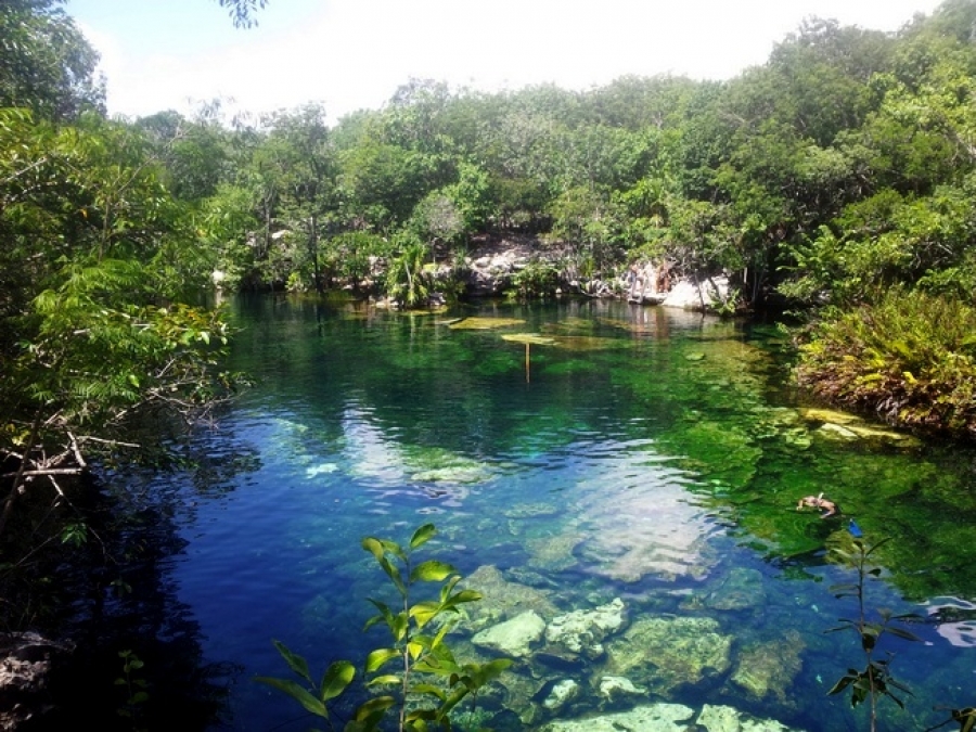 Cenote Ponderosa 