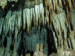 Cenote Dos Ojos 