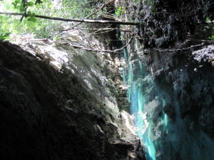 Cenote Pet Cementary