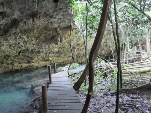 Cenote Pet Cementary