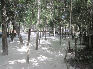 Cenote Pet Cementary