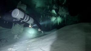 Cenote Pet Cementary