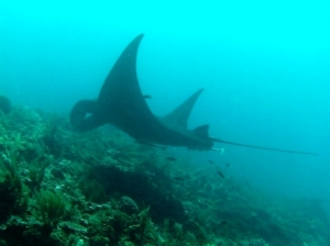 Raja Ampat